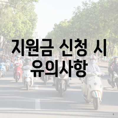 지원금 신청 시 유의사항