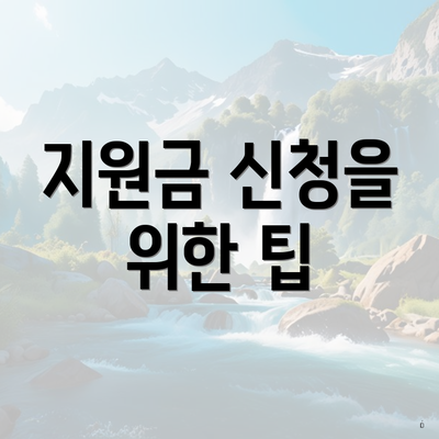 지원금 신청을 위한 팁