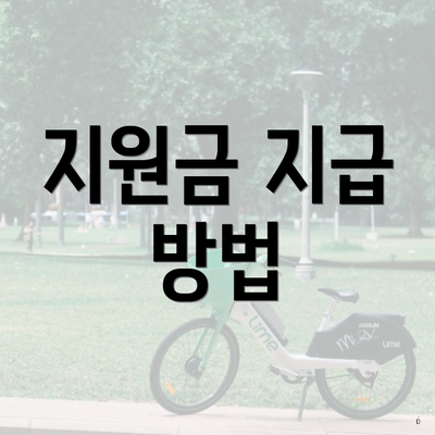 지원금 지급 방법