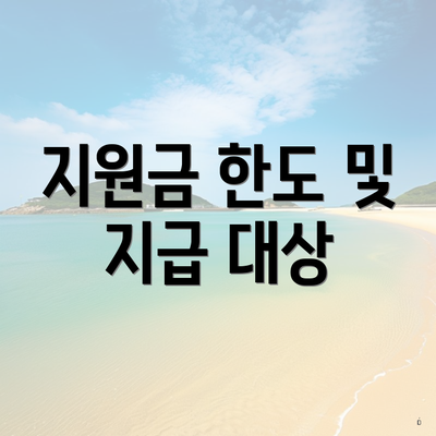 지원금 한도 및 지급 대상