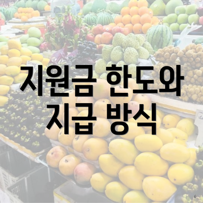 지원금 한도와 지급 방식
