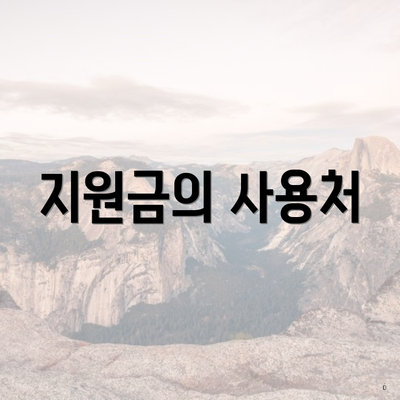 지원금의 사용처