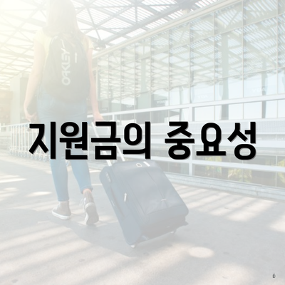 지원금의 중요성