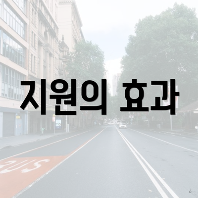지원의 효과