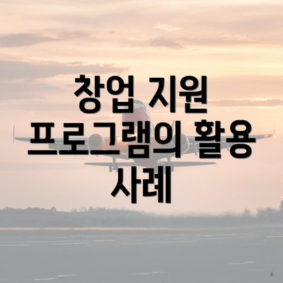 창업 지원 프로그램의 활용 사례