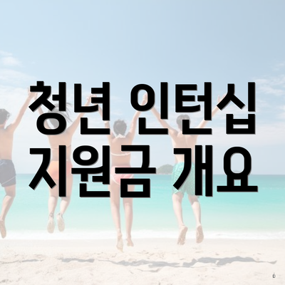 청년 인턴십 지원금 개요