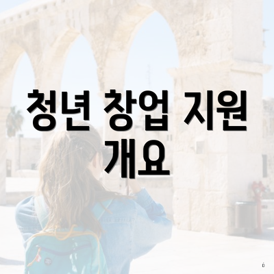 청년 창업 지원 개요