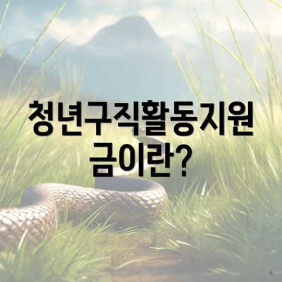 청년구직활동지원금이란?