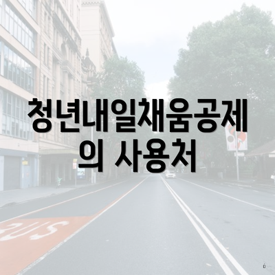 청년내일채움공제의 사용처