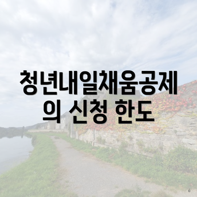 청년내일채움공제의 신청 한도
