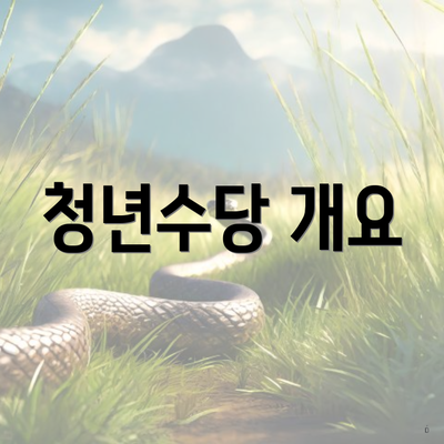 청년수당 개요