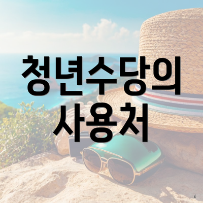 청년수당의 사용처
