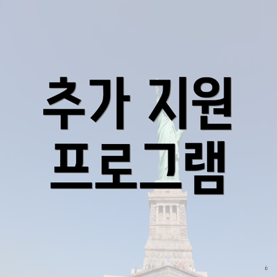 추가 지원 프로그램