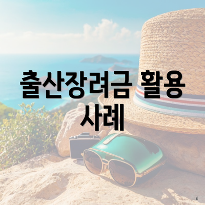출산장려금 활용 사례