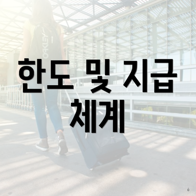 한도 및 지급 체계