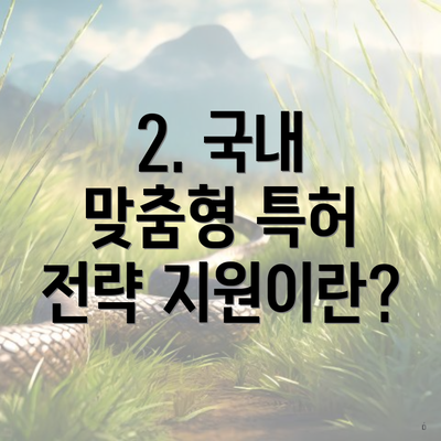 2. 국내 맞춤형 특허 전략 지원이란?