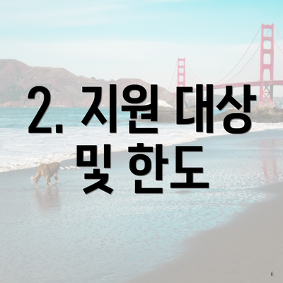 2. 지원 대상 및 한도