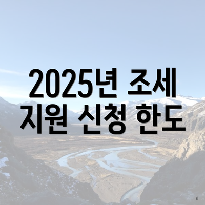 2025년 조세 지원 신청 한도