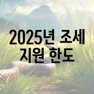2025년 조세 지원 한도