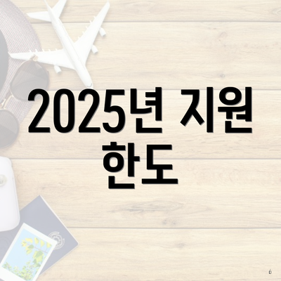 2025년 지원 한도