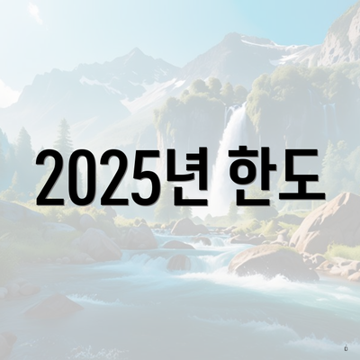 2025년 한도