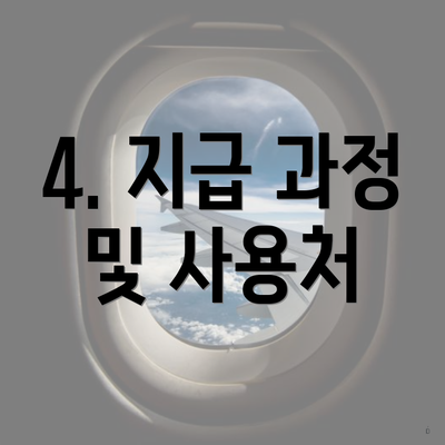 4. 지급 과정 및 사용처