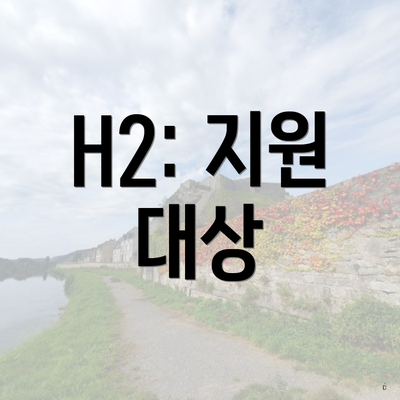 H2: 지원 대상
