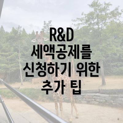 R&D 세액공제를 신청하기 위한 추가 팁
