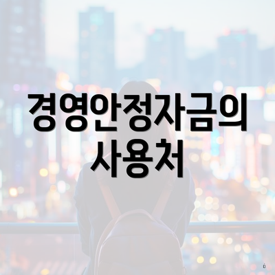 경영안정자금의 사용처