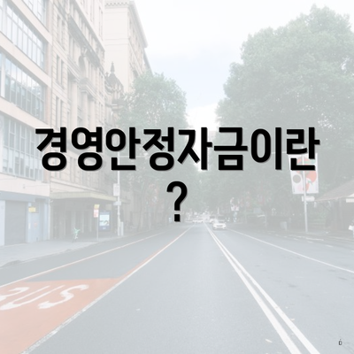 경영안정자금이란?