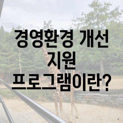 경영환경 개선 지원 프로그램이란?