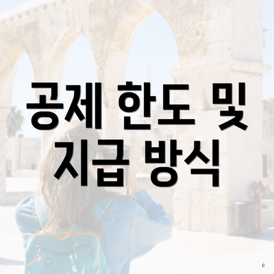 공제 한도 및 지급 방식