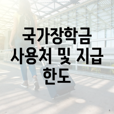 국가장학금 사용처 및 지급 한도