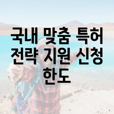 국내 맞춤 특허 전략 지원 신청 한도