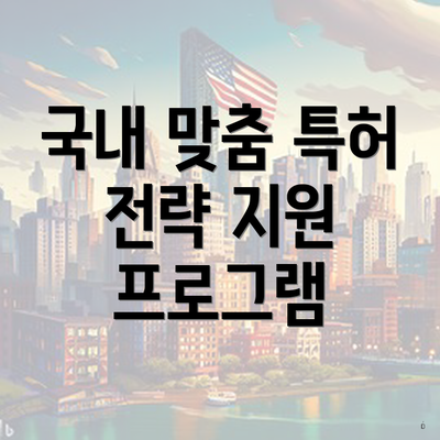 국내 맞춤 특허 전략 지원 프로그램