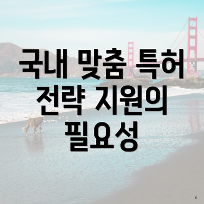 국내 맞춤 특허 전략 지원의 필요성