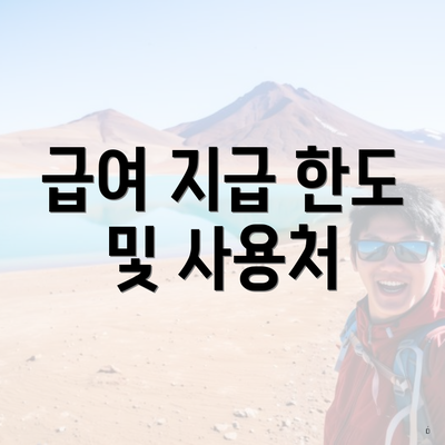 급여 지급 한도 및 사용처