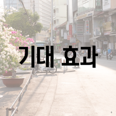 기대 효과
