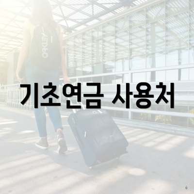 기초연금 사용처