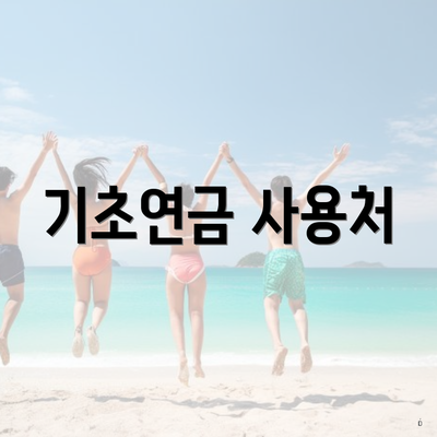 기초연금 사용처