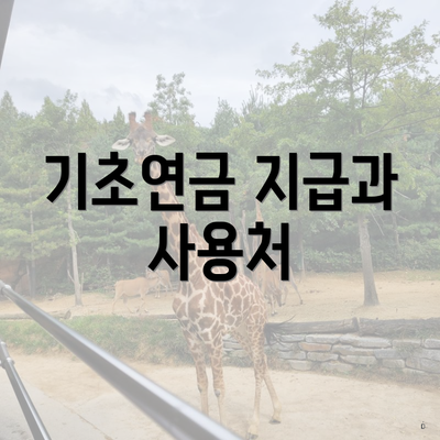 기초연금 지급과 사용처