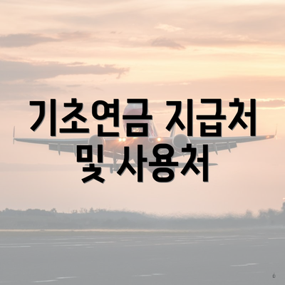 기초연금 지급처 및 사용처