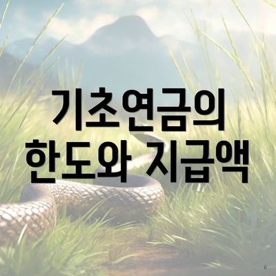 기초연금의 한도와 지급액