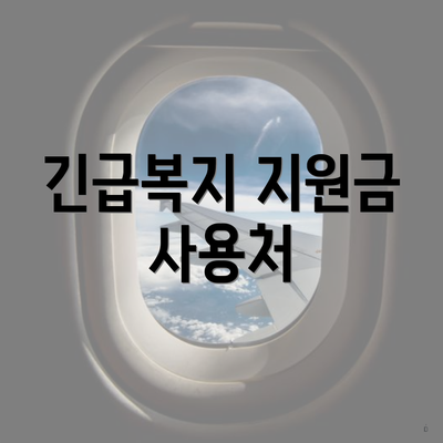 긴급복지 지원금 사용처