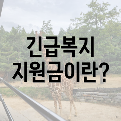 긴급복지 지원금이란?