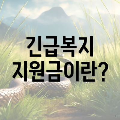 긴급복지 지원금이란?