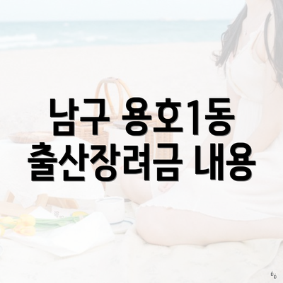 남구 용호1동 출산장려금 내용