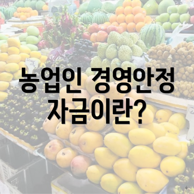농업인 경영안정자금이란?
