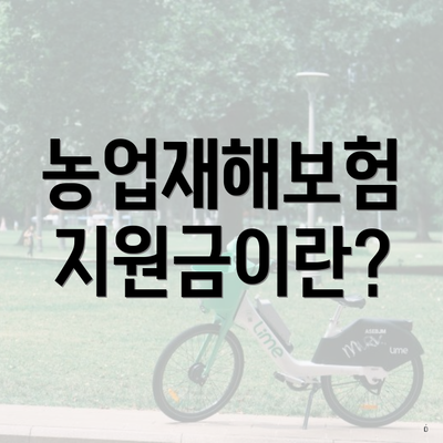 농업재해보험 지원금이란?