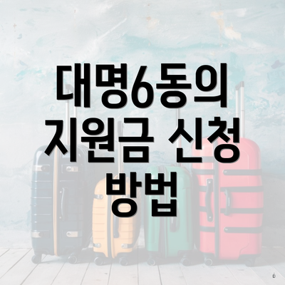 대명6동의 지원금 신청 방법